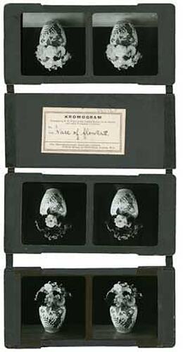 Kromogram - vase of flowers