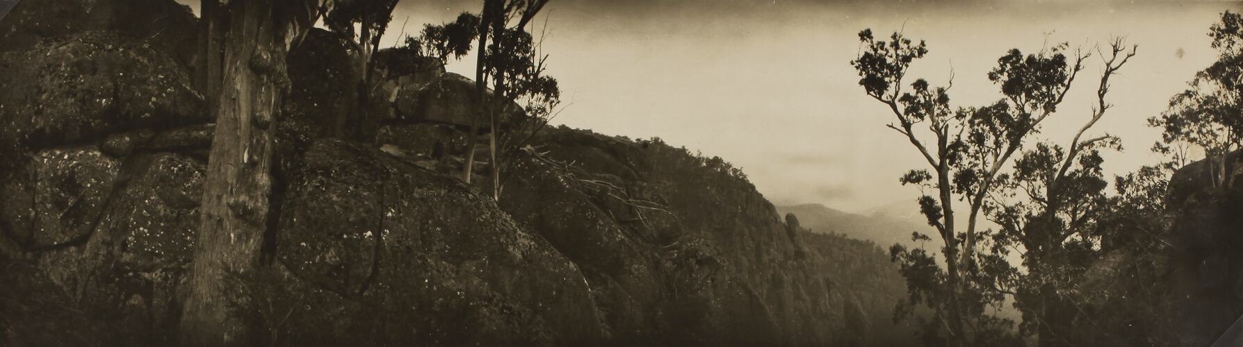Photograph - Mountain Landscape, Lorne District, Victoria, circa 1920s