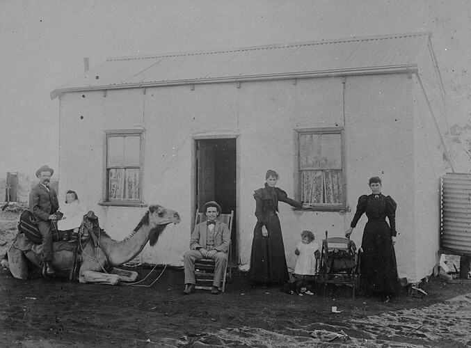 Group of People Outside a Small House with Man & Child on Kneeling Camel, Coolgardie District, Western Australia, circa 1900
