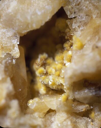 Small sprays of yellow minerals in a cavity surrounded by blocky cream minerals.