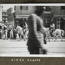 Photograph - King Farouk's Horses, Alexandria, Egypt, World War II, 1939-1943