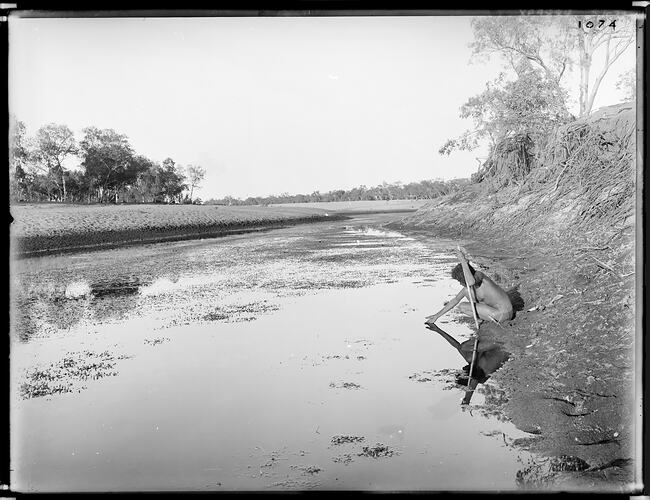 Arrernte woman resting on a digging stick as she drinks from a waterhole, Finke River, Central Australia, 1895-97