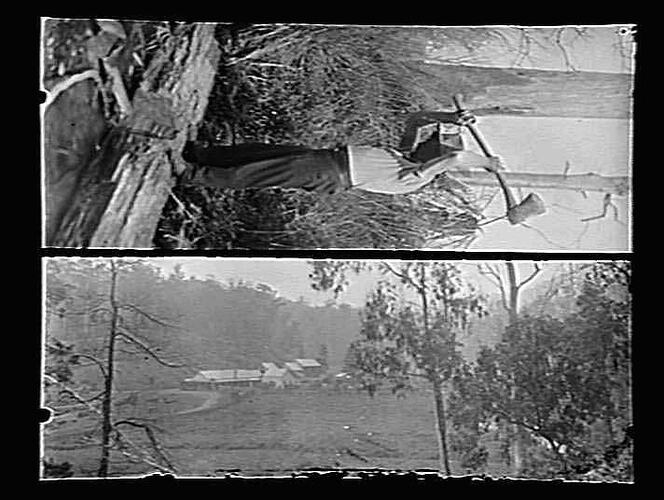 Man chopping wood and farm house.