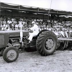 Photograph - Massey Ferguson, MF65 Tractor & MF564 Disc Plough, Melton, Victoria, 1960