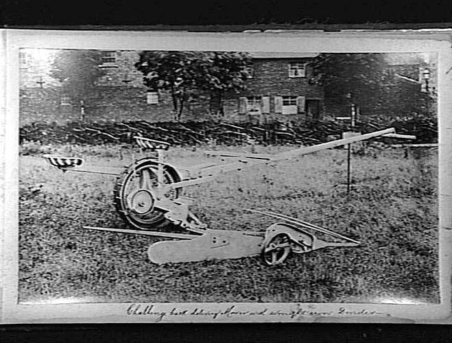 Photograph