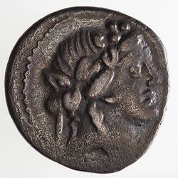 Coin - Denarius, M. Volteius, Ancient Roman Republic, 78 BC
