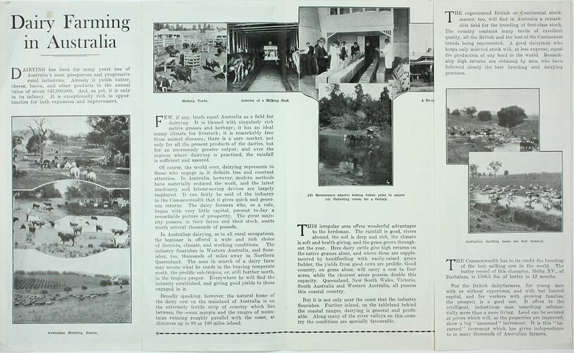 Pamphlet - 'Dairy Farming in Australia', Commonwealth Immigration Office, Melbourne, 1924