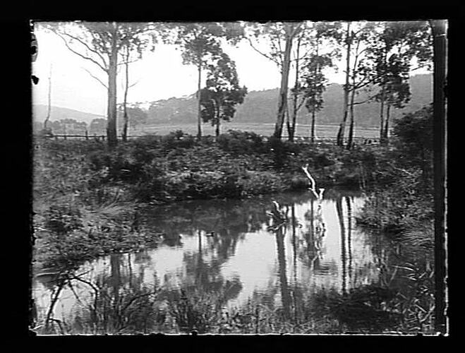 Negative - Glass