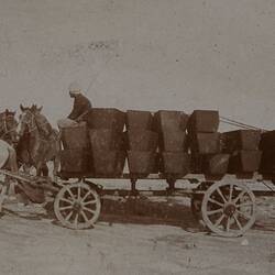 Photograph - Coffins on Waggon for Recovered Bodies from Torpedoed Ship 'Persia', early 1916