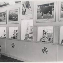 Photograph - Kodak Australasia Pty Ltd, Shop Interior, 1940
