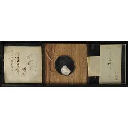 Underside of glass and wood slide with bryozoan specimen.