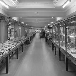 Primary production displays in Queen's Hall balcony, Institute of Applied Science (Science Museum), Melbourne, March 1964