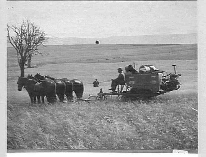 Photograph H.V. McKay Pty Ltd, Farm Equipment Manufacture & Field