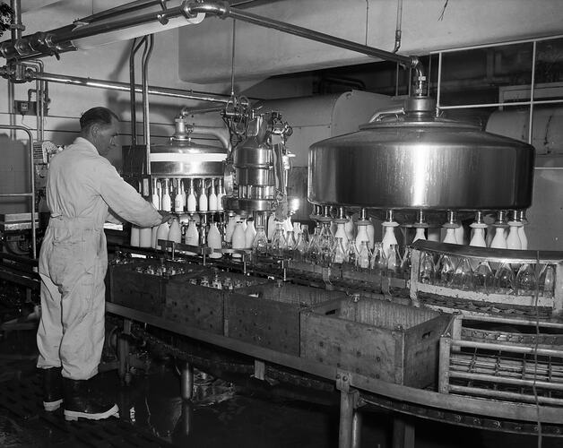 Milk Bottling Machine at a Dairy, Victoria, 1956