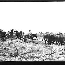 Photograph - Sunshine Harvester Works, Farm Equipment Manufacture & Field Trials, Gunnedah, New South Wales, circa 1920s-1930s