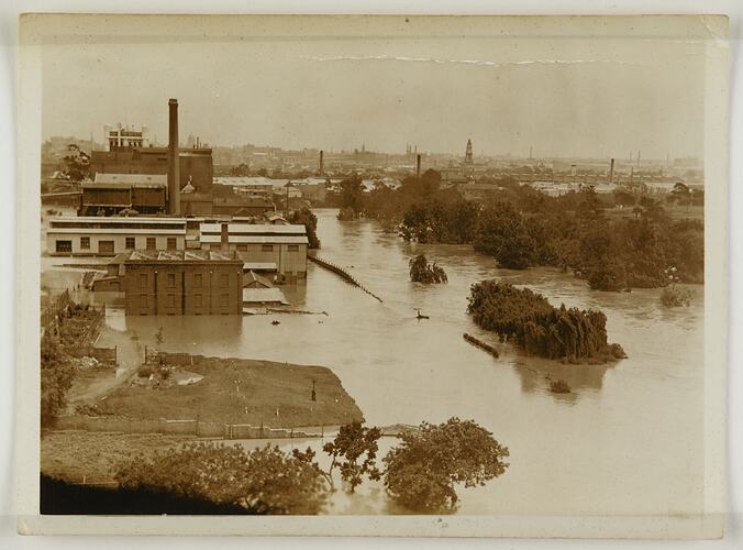 Flooded landscape with trees partially submerged in foreground and buildings partially submerged in background