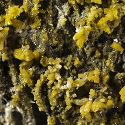 Pyromorphite. [M 53451]