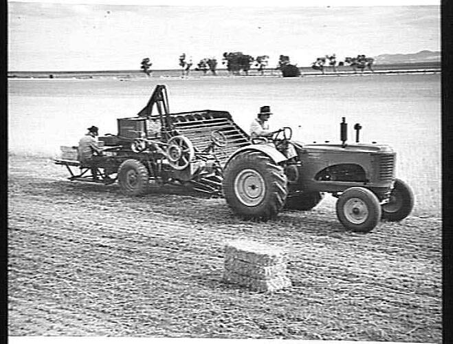 SUNSHINE BALER FITTED WITH CUTTER-BAR AND A `102' TRACTOR BALING STRIPPED WHEAT STRAW AT BALLIANG: JAN 1944