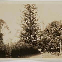 Photograph - Kodak Australasia Pty Ltd, 'Manyung', Mornington, 1920s