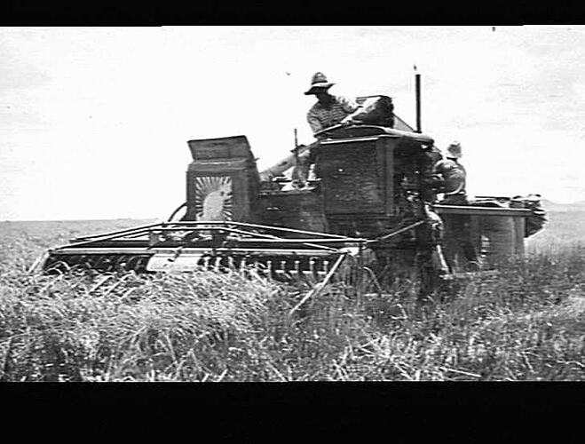 FRONT VIEW OF AUTO HEADER AT WORK ON ZEISMER BROS. FARM , BONGUN, QUEENSLAND.