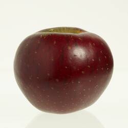 Wax model of an apple painted dark red.