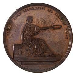 Medal - Herbert River Agricultural & Pastoral Association Prize, Queensland, Australia, circa 1880