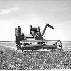 Photograph - Massey Ferguson, Farm Equipment Manufacture & Field Trials, Jeparit, Victoria, Jan 1955