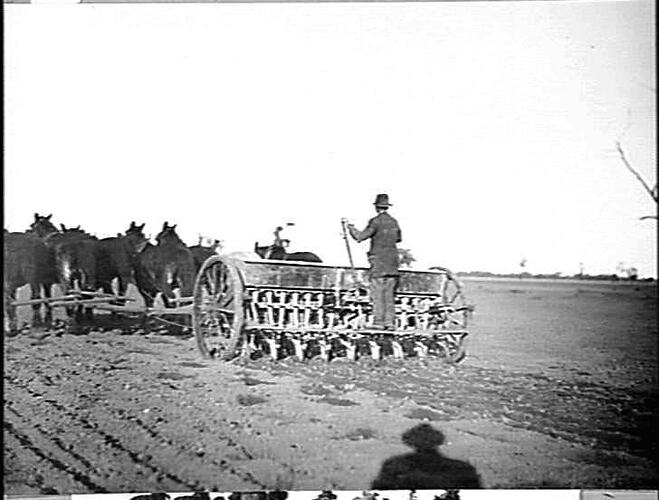 MESSRS. ANDERSON BROS. FARM, WOORAK WEST: JUNE 1921