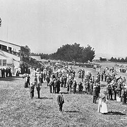 Negative - Opening of the Railway Line to the Racecourse From the Main Adelaide Line, Burrumbeet, Victoria, 01 Jan 1904