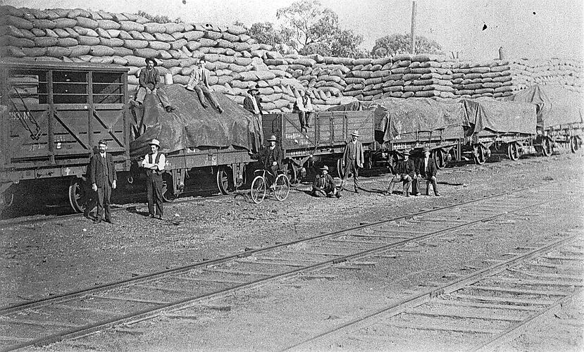 [Men loading bags of grain onto goods wagons, Sea Lake rail yards, circa 1905.]