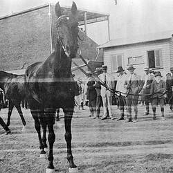 Negative - Wentworth, New South Wales, 1922