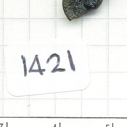 HR Uhlherr Tektite Collection Number: 1421-1