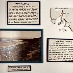 Five white exhibition panels featuring black text and white and white photo.