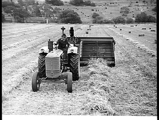SUNSHINE ENGINE-FUNCTIONED PICKUP BALER, DRAWN BY SUNSHINE MASSEY HARRIS TRACTOR, BALING LUCERNE HAY FROM THE WINDROW ON MR. ROBERT GREEN'S PROPERTY, `UNDERBANK', BACCHUS MARSH, VIC.: FEB. 1948