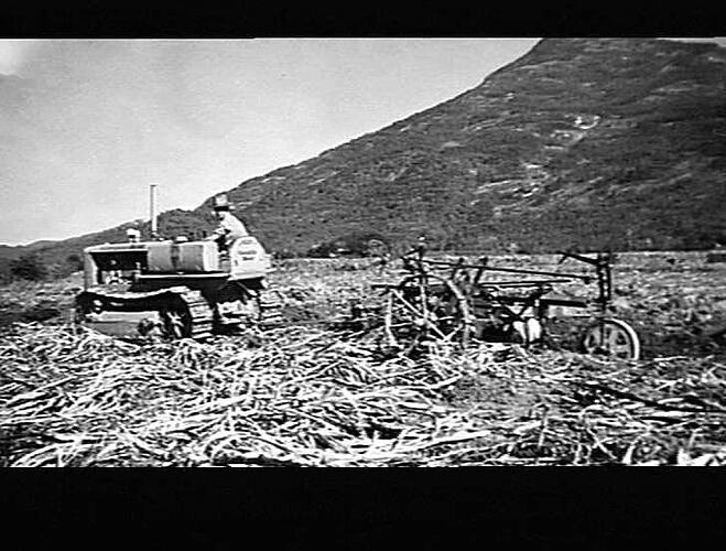 `SUNLORD' AND CAT D.2.: WARNER, CAIRNS, QLD.: AUG 1941