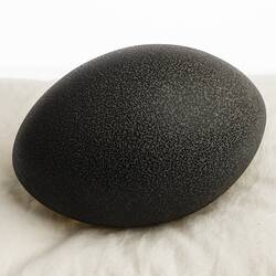 Our Wondrous Planet, Our Wild Family: Egg - Emu, <em>Dromaius novaehollandiae novaehollandiae</em>