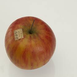 Red wax apple model.