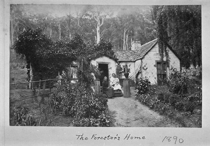 THE DANDENONGS (Continued) 1893. The Forester's House.