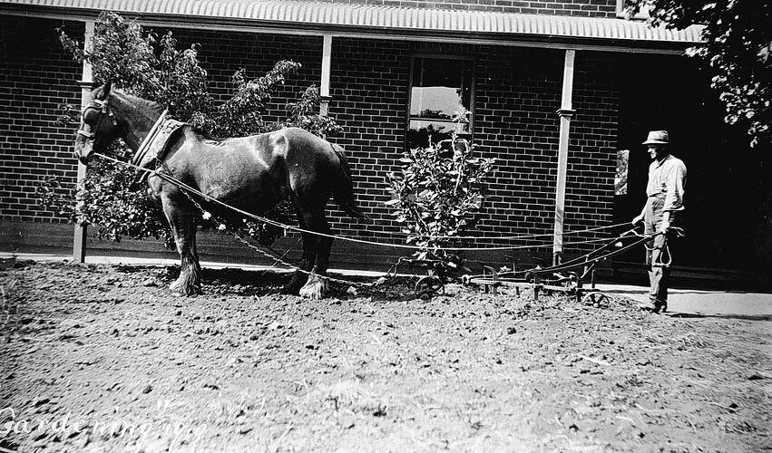 GARDENING 1919