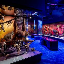 Our Wondrous Planet Exhibition