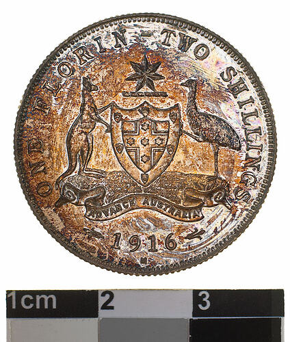 Proof Coin - Florin (2 Shillings), Specimen Strike, Australia, 1916, photographed by Museums Victoria