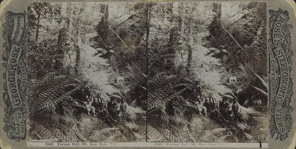 Digital Photograph - Rose's Stereographic Views, Ferney Dell, Mt Baw Baw, circa 1900