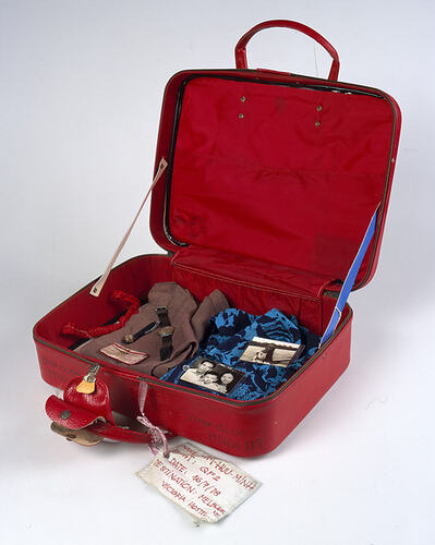 LAM  LAM Trunk Suitcase (Dark Brown)
