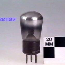 Vacuum Tube