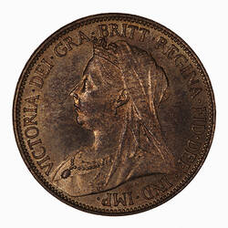 Coin - Halfpenny, Queen Victoria, Great Britain, 1895 (Obverse)