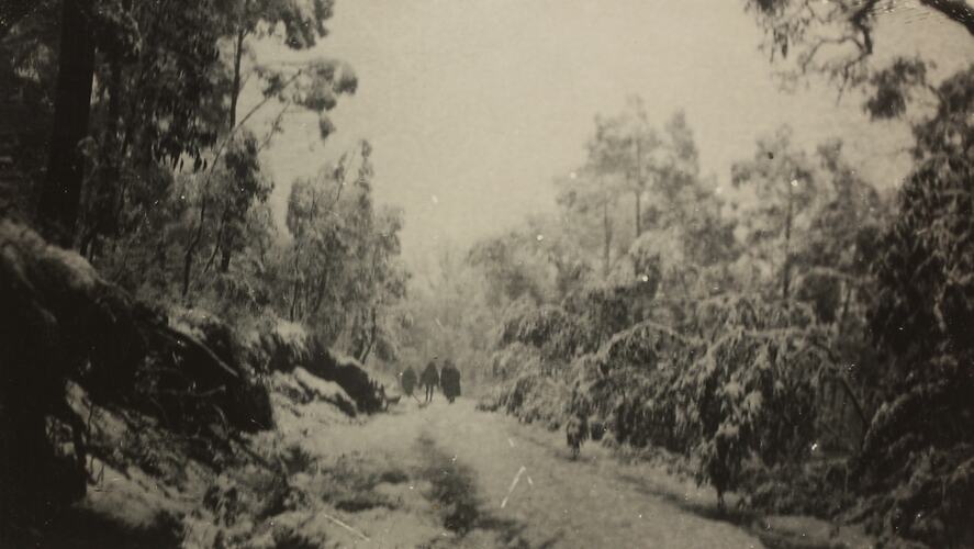 Photograph - Snow Covered Landscape, Victoria, circa 1920s