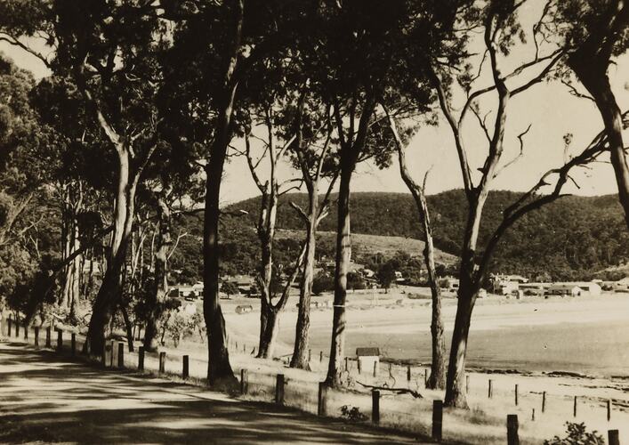 Photograph - Coastal Landscape, Lorne, Victoria, 1930s