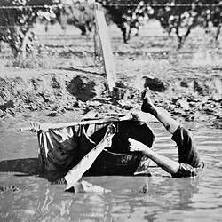 Negative - Two Boys with Capsized Barrel in a Water Hole, Merrigum, Victoria, 1910