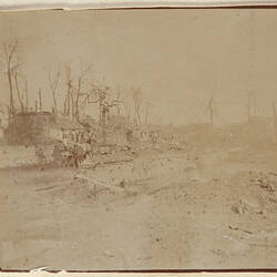 Landscape showing damaged buildings and dead trees.