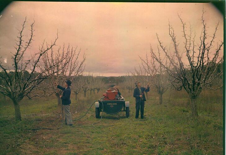 Orchard Spraying